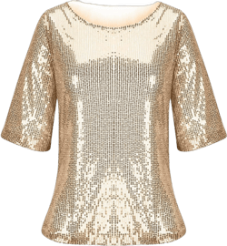 T Shirt for Women Short Sleeve Crewneck Sequin Sparkly Glitter Solid Color Tee Shirt Tops Women Trendy V-382 Gold Medium