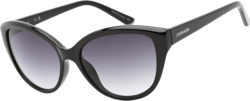 Calvin Klein Retail CK19536S Sunglasses Black / Grey Gradient Women's