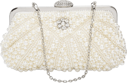 LIFEWISH Womens Pearl Evening bag Cascading Bead Rhinestone Fancy clutch purses Style P05
