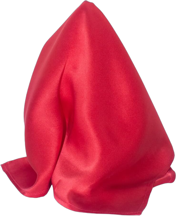 Royal Silk Creamy Satin Silk Pocket Squares for Men 100% Silk - 22 Color Red