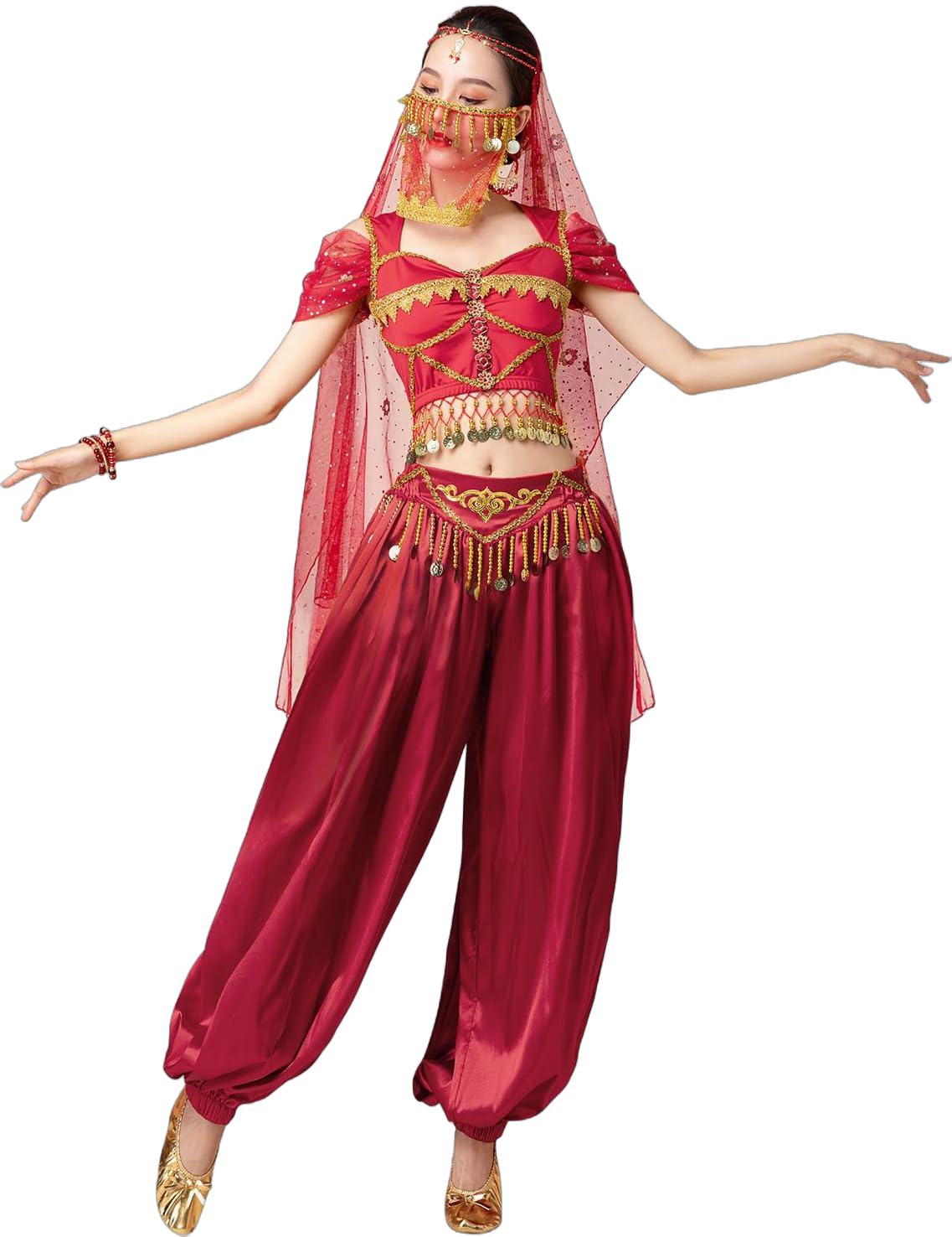 Arabian Jasmine Costume for Women Princess Dress Up Halloween Belly Dance Top Pants 4 Piece Outfit Medium 31wine Red