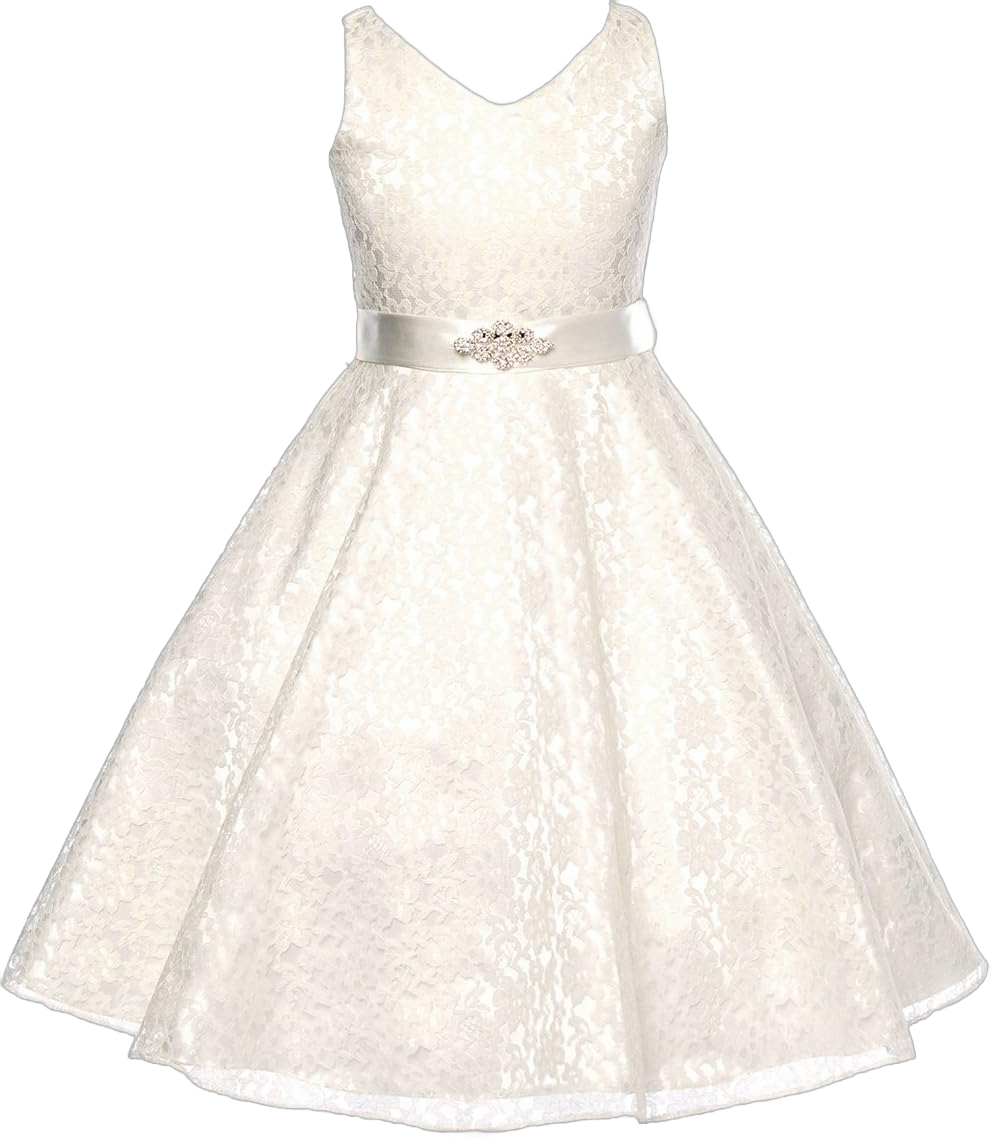 Lovely Lace V-Neck Flower Girl Dress 8 Ivory