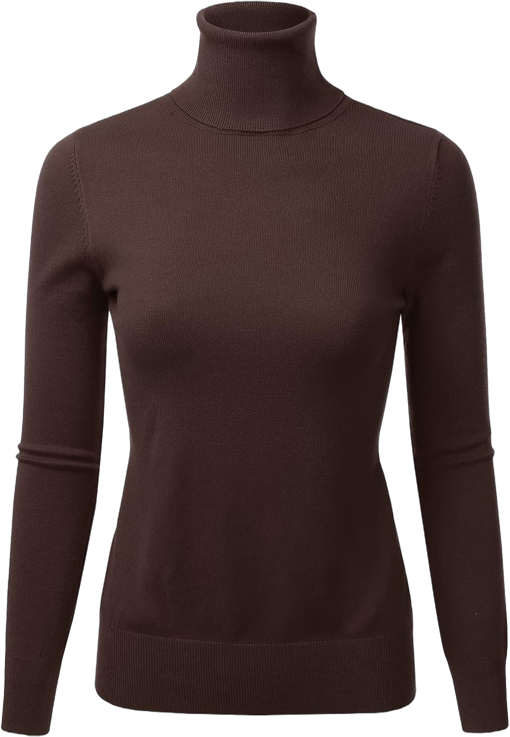 LALABEE Women's Long Sleeve Pullover Turtleneck Slim Fit Stretch Knit Sweater (S-XXL) X-Large Lbt014_brown